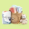 Animal Kingdom Nursery Room Collection - Cloud Island™