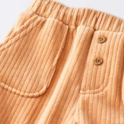 Baby Boys' 2pc Fox Sweatshirt & Corduroy Pants Set - Cloud Island™ Navy Blue -Cloud Island GUEST 7d0b53b1 b30a 4baf a600 eccf517e4a3e